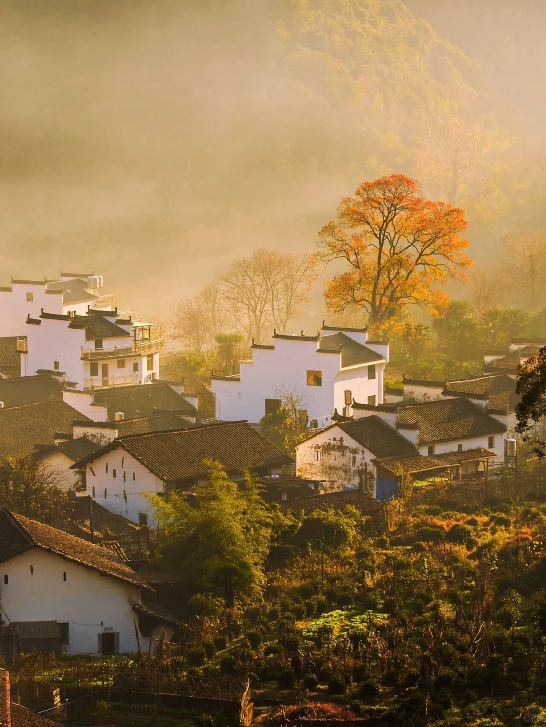 被《国家地理》评为皖南最美古村的秋天多震撼_4_时线旅行-野奢度假_宏村西递-古镇-来自52tours 我爱旅游网